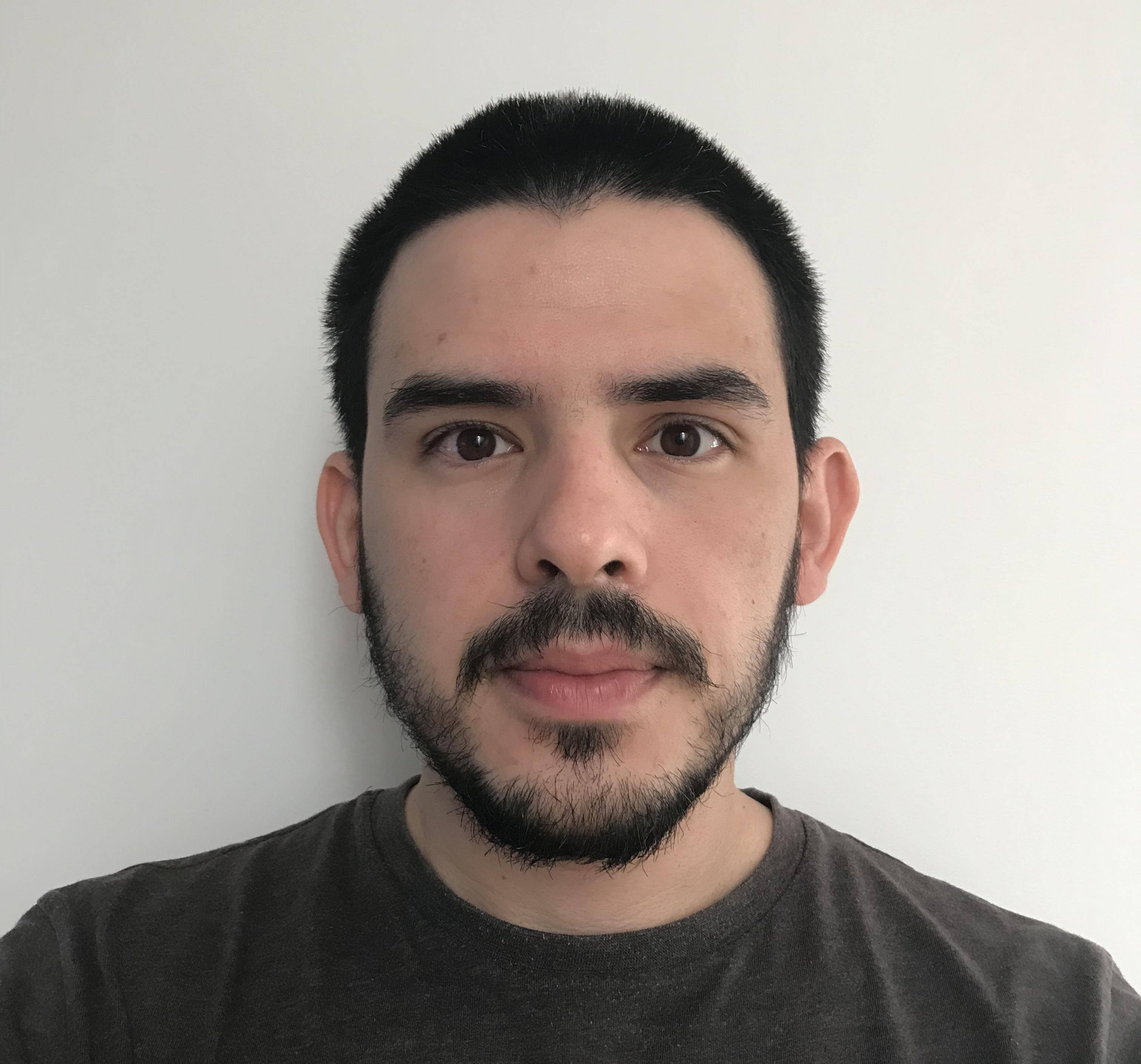 Profile picture of Tomás Carreira