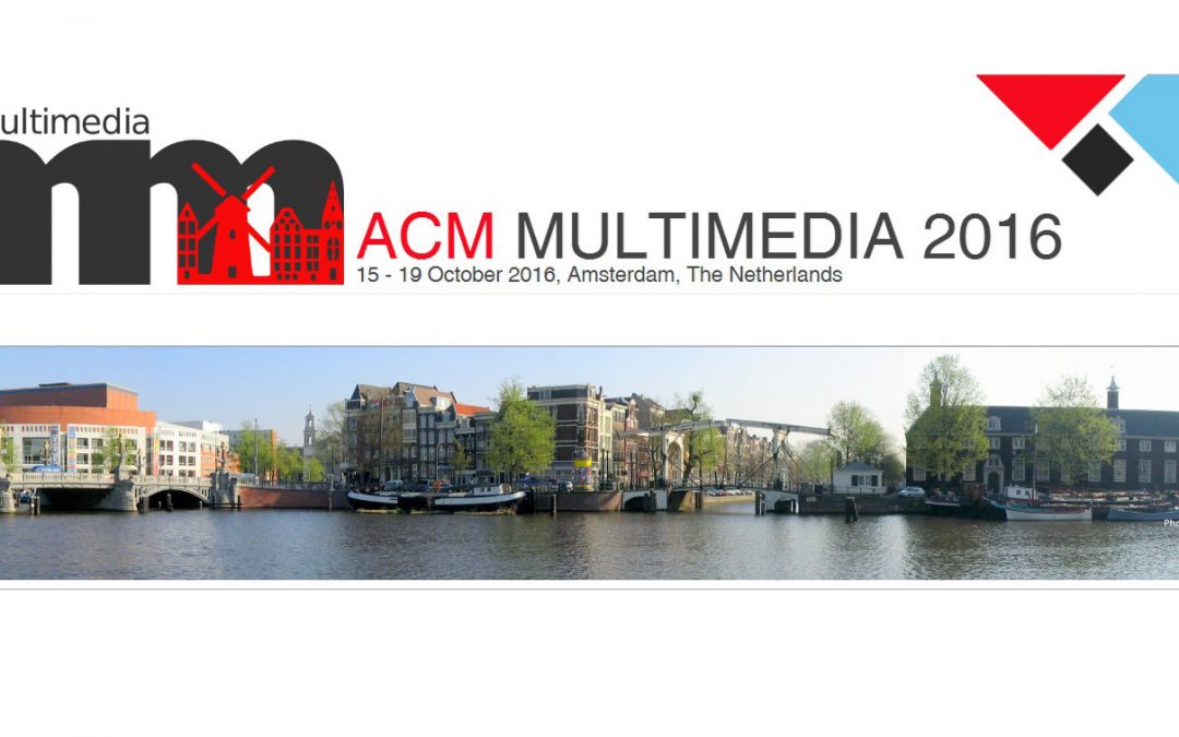 LaSIGE @ ACM Multimedia 2016