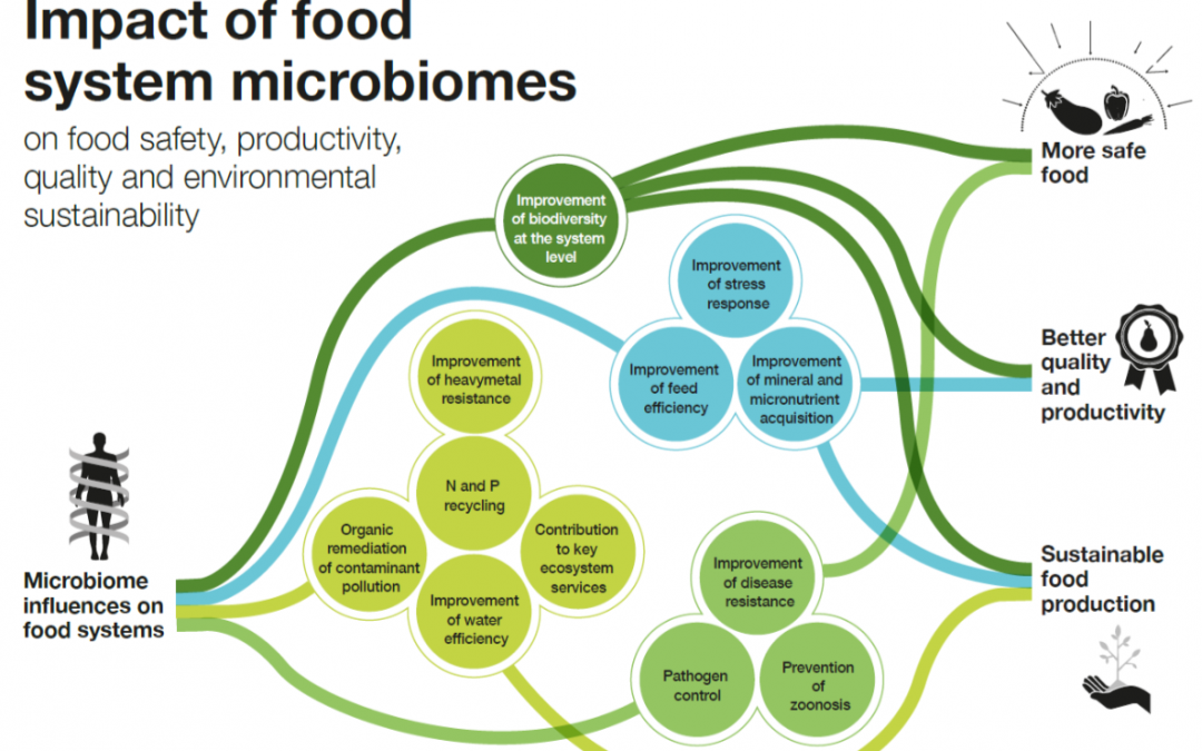 European Project “CIRCLES –  Controlling mIcRobiomes CircuLations for bEtter food Systems” starting today