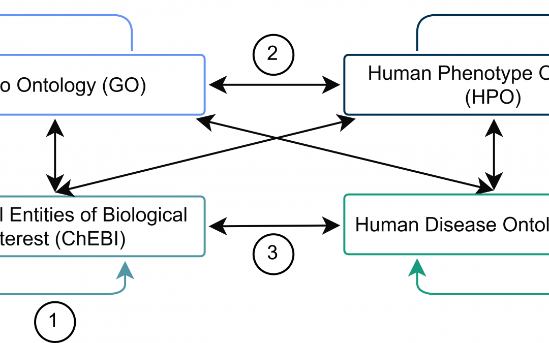 “BiOnt” a LASIGE paper @ ECIR 2020