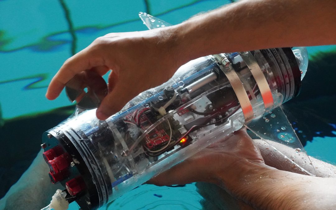 LASIGE’s student @ 1st MIT Portugal Marine Robotics Summer School