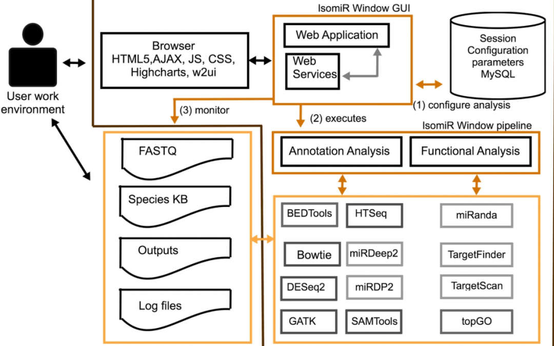 Ana Vasconcelos, António Ferreira and Maria Beatriz Carmo published in BMC Bioinformatics