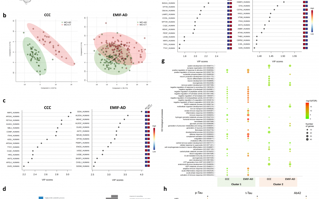 Helena Aidos and Sara C. Madeira’s work published in Translational Neurodegeneration journal