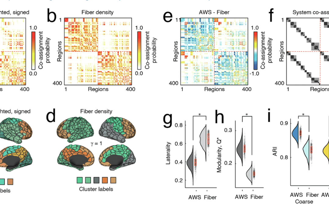 Andreia Sofia Teixeira work published in Nature Communications