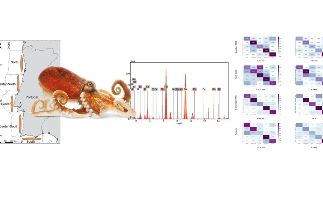 Nuno M. Rodrigues and Sara Silva research published in Food Control journal