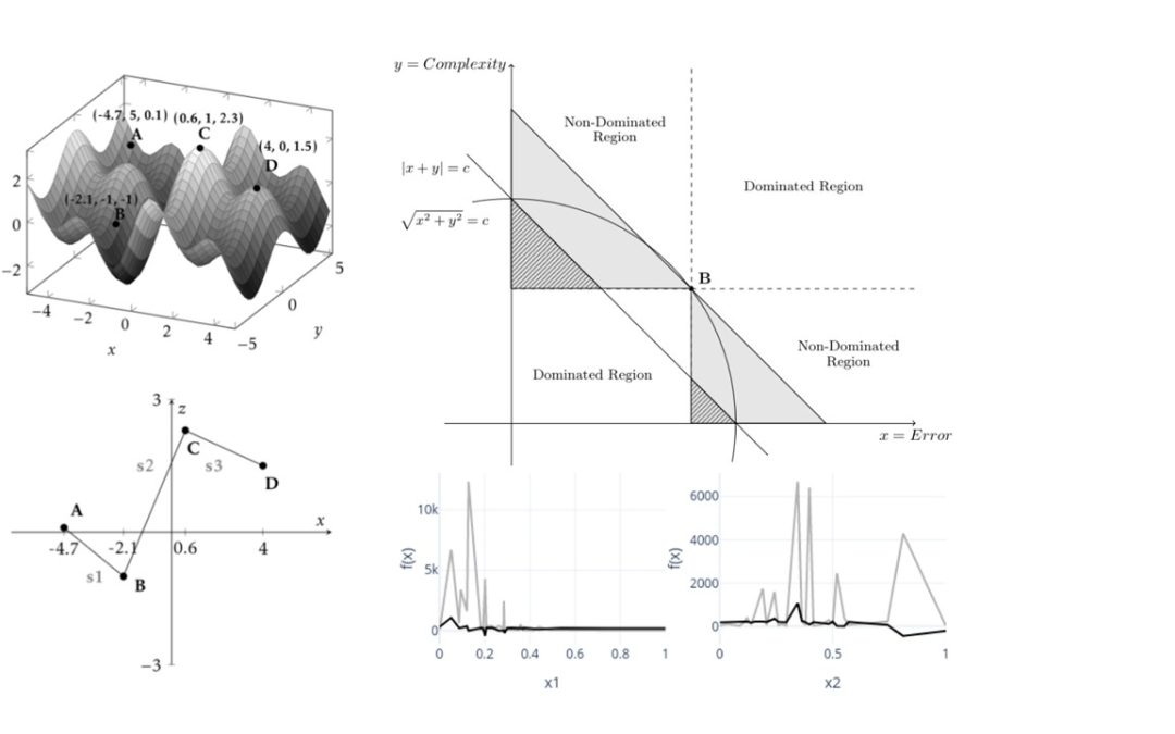 Sara Silva research published in IEEE Transactions on Evolutionary Computation