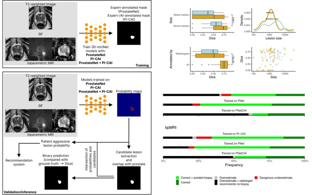 Nuno Rodrigues and Sara Silva published in Scientific Reports