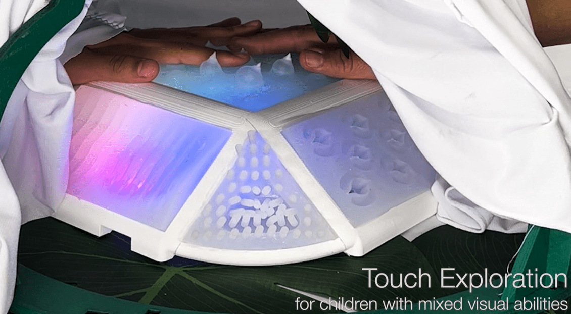 SoftEdIBO – Touch-based robot for inclusive education